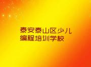 2025年泰安省庄镇童程童美学智能机器人编程哪个学校好十大排名一览排行榜