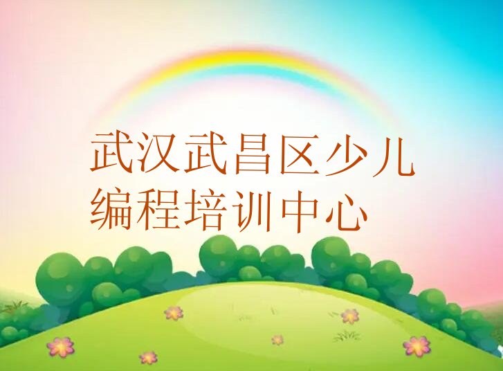 武汉武昌区少儿编程培训中心