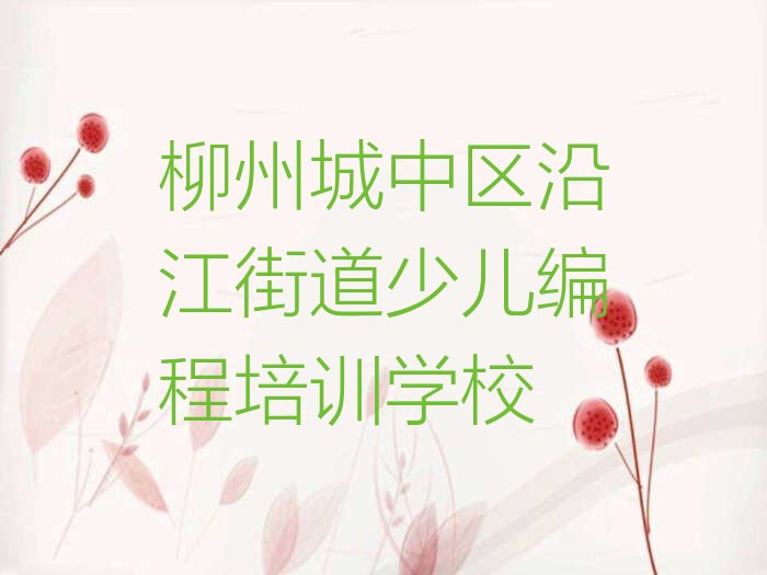 柳州城中区沿江街道少儿编程培训学校