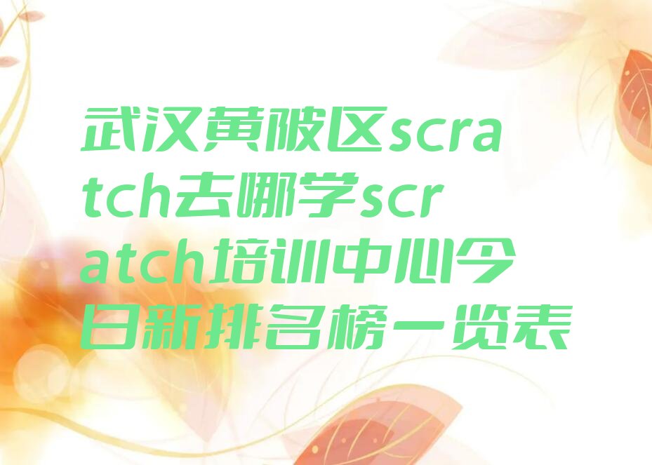 武汉黄陂区长轩岭街道scratch培训学校