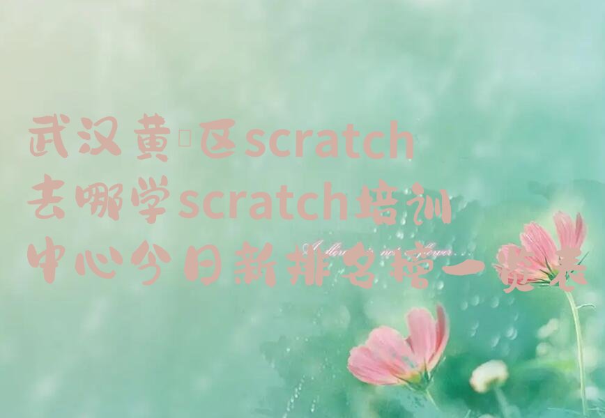 武汉黄陂区长轩岭街道scratch培训学校