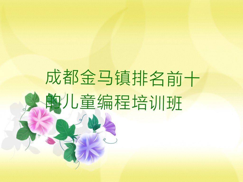 成都温江区金马镇少儿编程培训学校