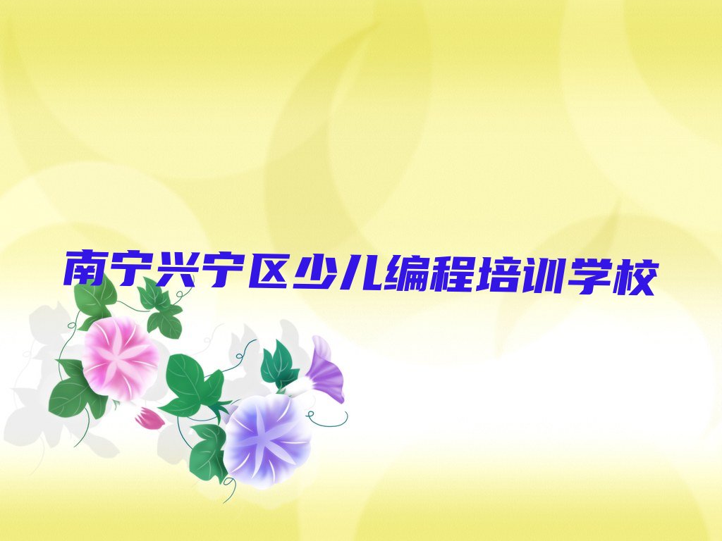 南宁兴宁区少儿编程培训学校