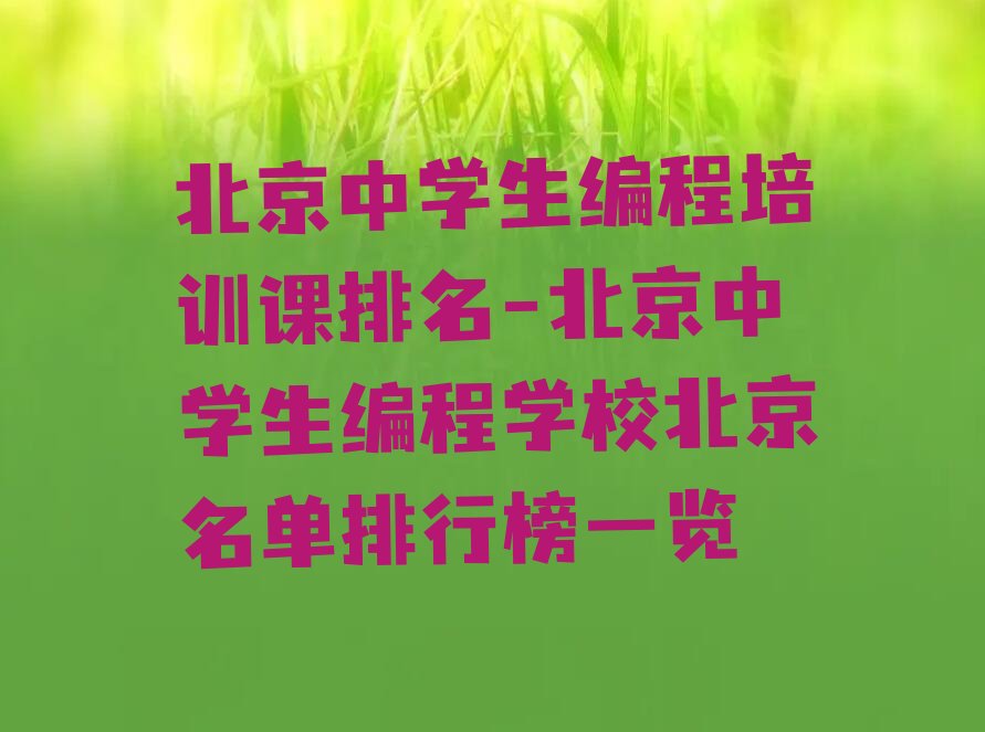北京少儿编程培训班