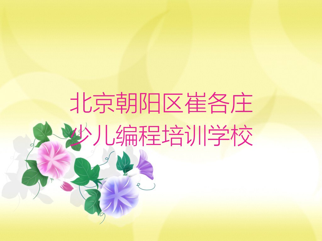 十大北京朝阳区机器人编程一对一辅导收费标准多少钱实力名单一览排行榜排行榜
