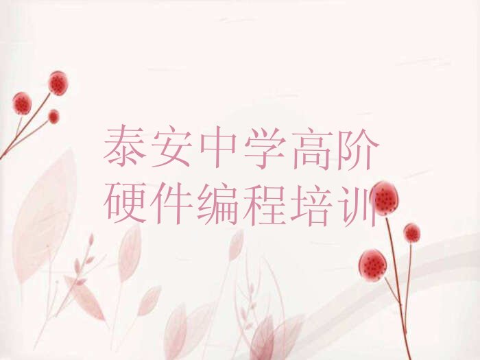 泰安少儿编程培训中心