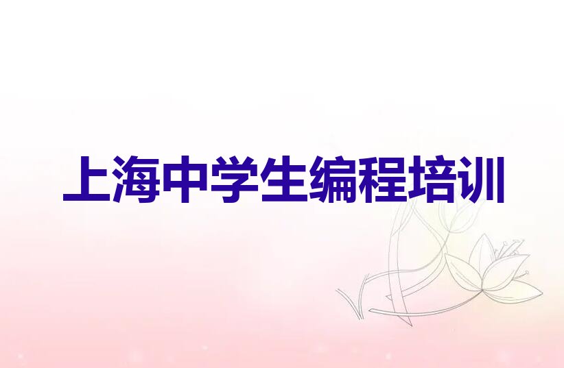 十大上海中学生编程哪家比较好排行榜