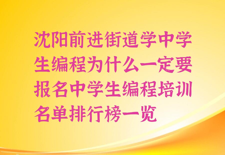 中学生编程