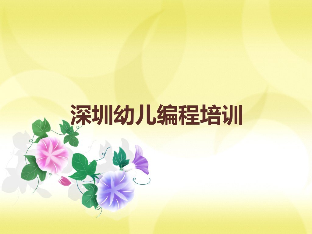 深圳盐田区少儿编程培训中心
