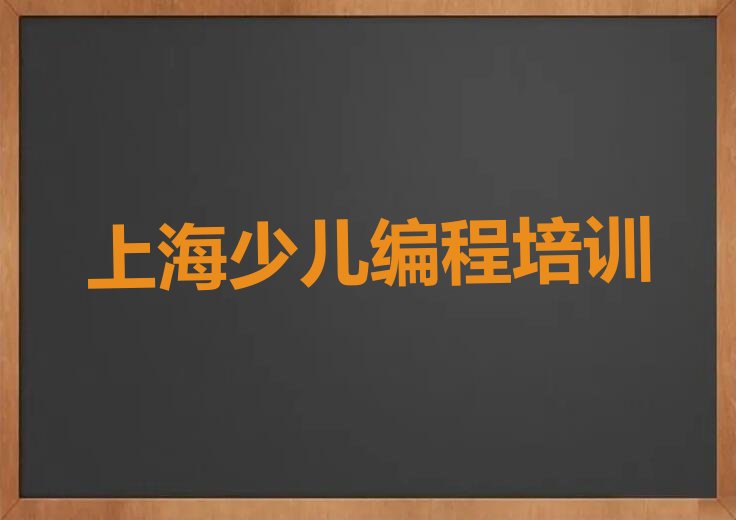 上海嘉定区真新街道少儿编程培训学校