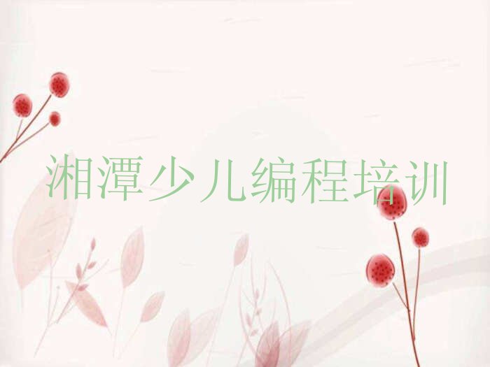 十大湘潭岳塘区学乐高编程好的学校排行榜