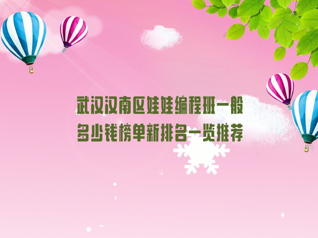 武汉汉南区少儿编程培训学校