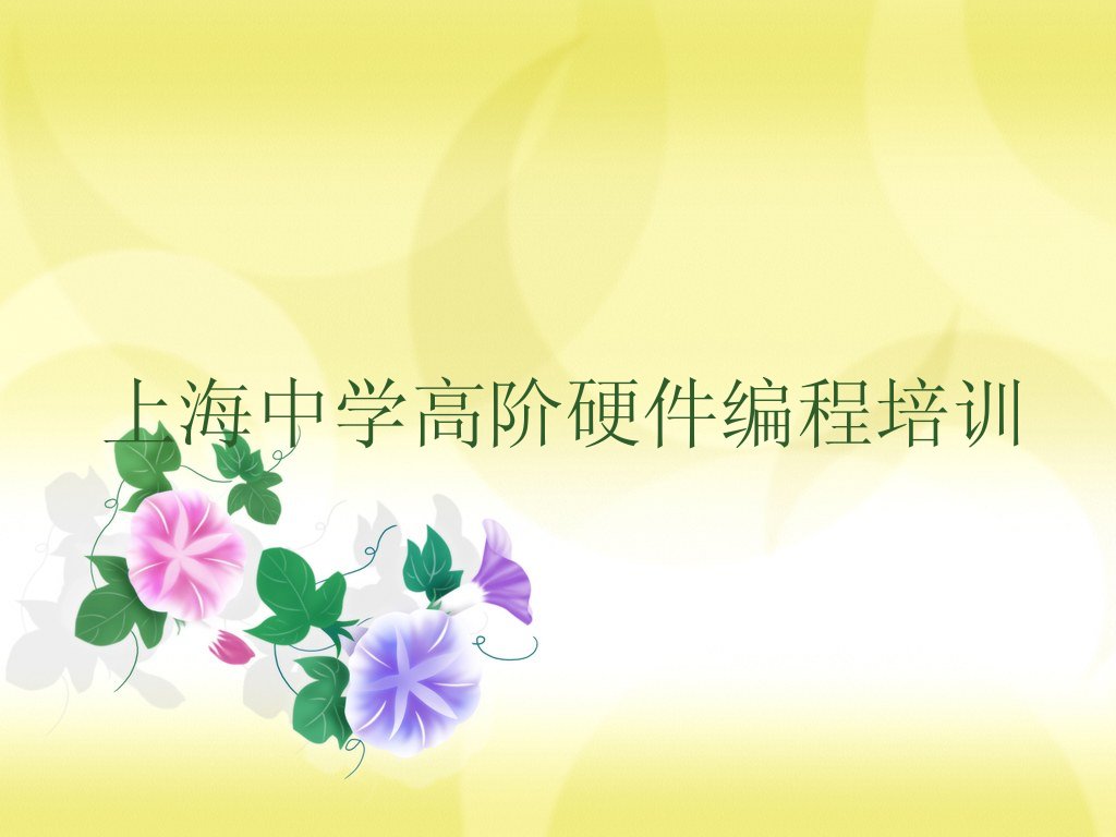 上海徐汇区天平路少儿编程培训学校