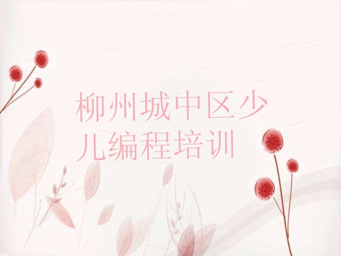 柳州城中区少儿编程培训