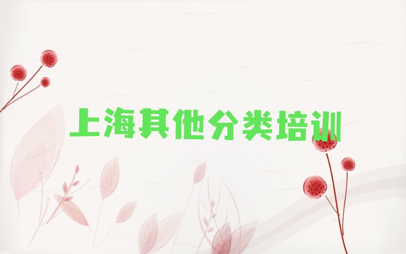 十大上海松江区少儿无人机大赛选哪个少儿无人机大赛培训班最好排行榜
