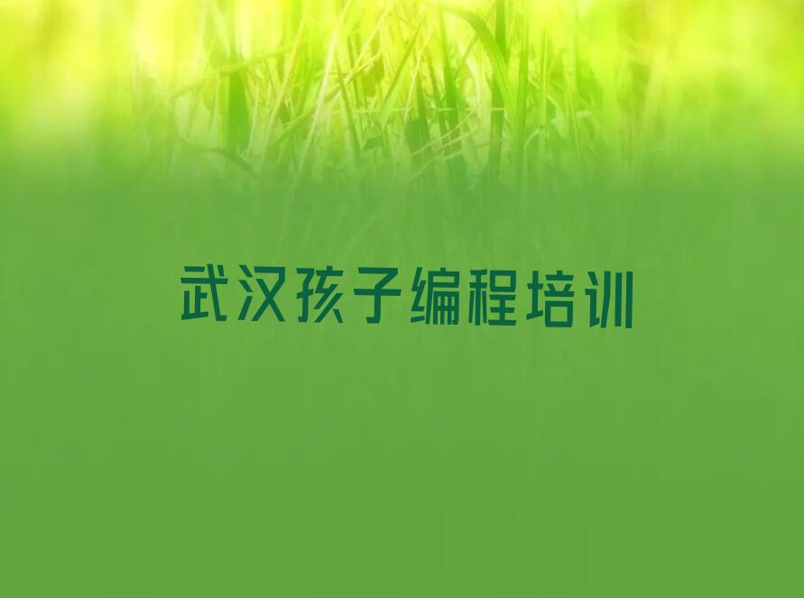 十大武汉江夏区孩子编程培训班哪个好多少钱人气口碑排行榜一览表排行榜
