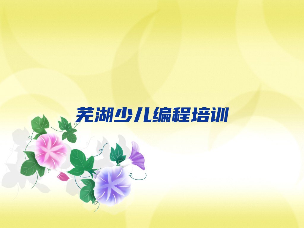 芜湖三山区少儿编程培训班