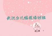武汉青山区乐高机器人编程培训机构辅导,青山区乐高机器人编程培训推荐排名名单一览表