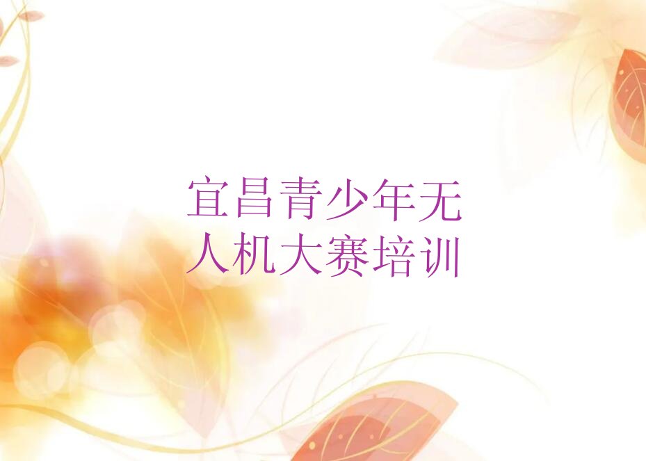 宜昌点军区青少年无人机大赛培训学校