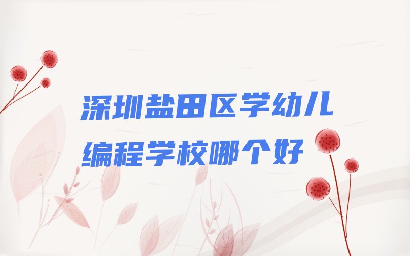 十大深圳盐田区学幼儿编程学校哪个好排行榜