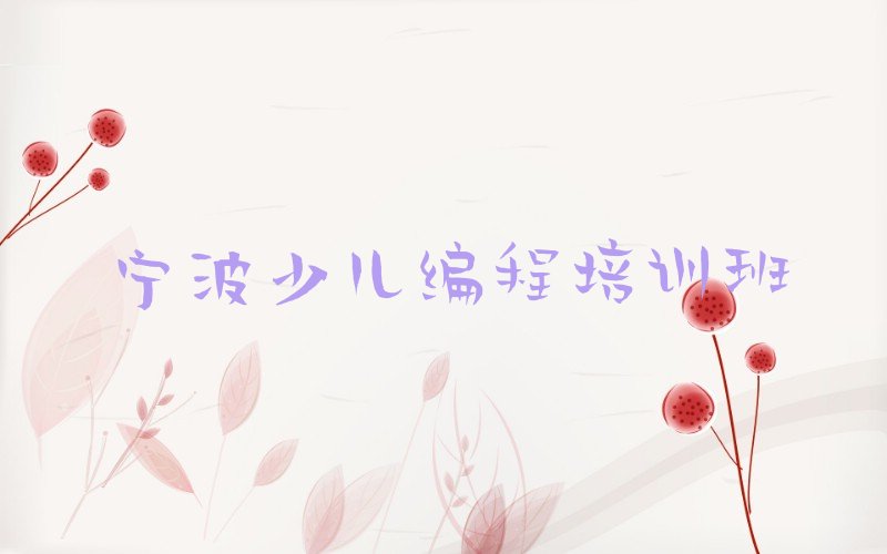 宁波少儿编程培训班