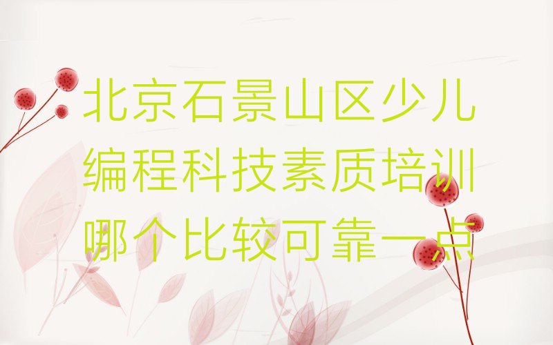 北京石景山区少儿编程科技素质培训学校