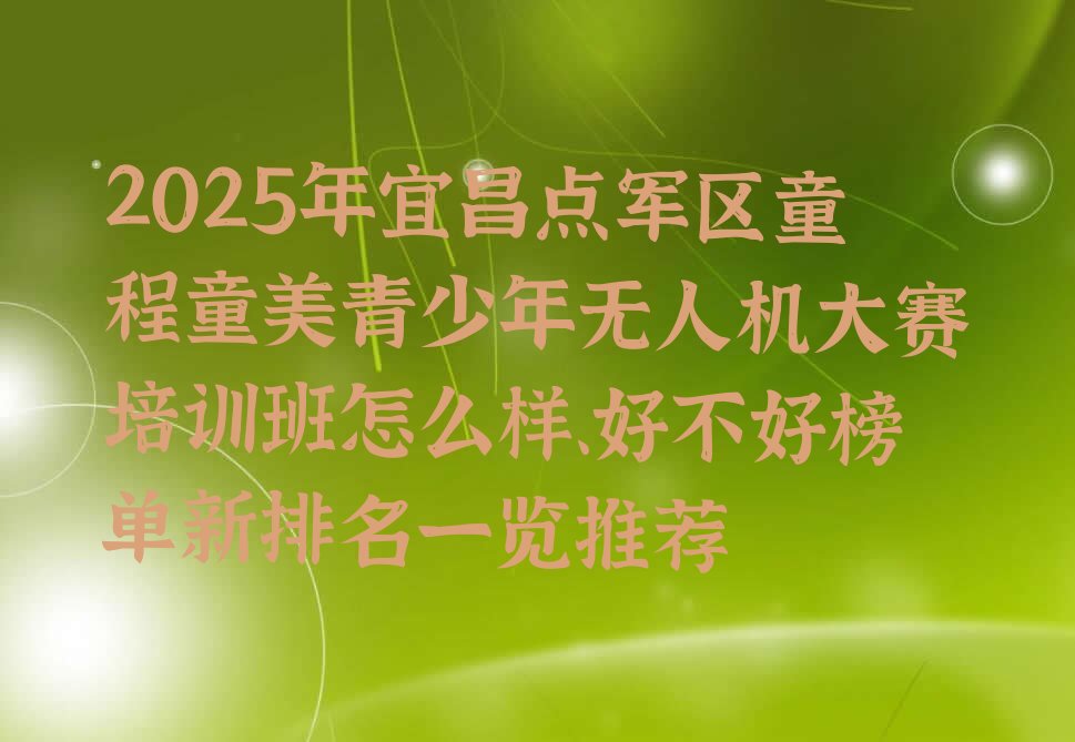 十大2025年宜昌点军区童程童美青少年无人机大赛培训班怎么样、好不好榜单新排名一览推荐排行榜