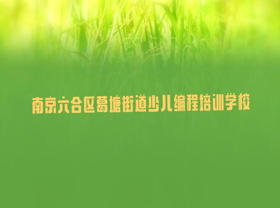 南京六合区葛塘街道少儿编程培训学校