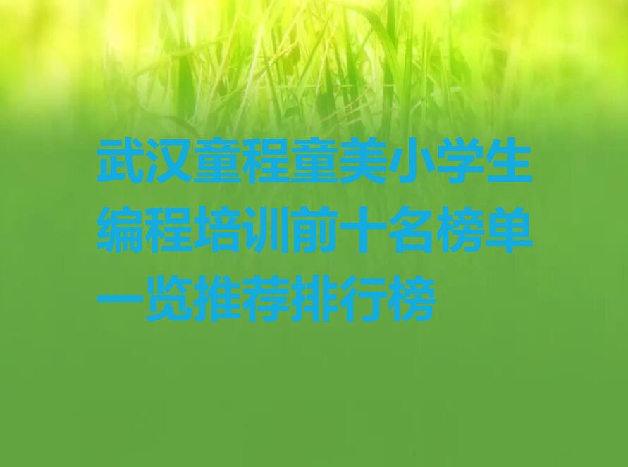 武汉少儿编程培训班