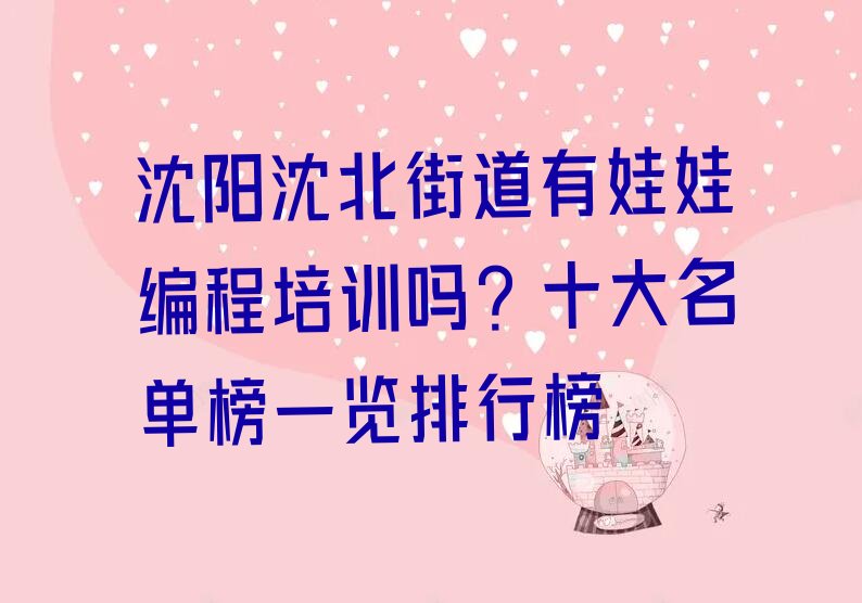 沈阳沈北新区少儿编程培训