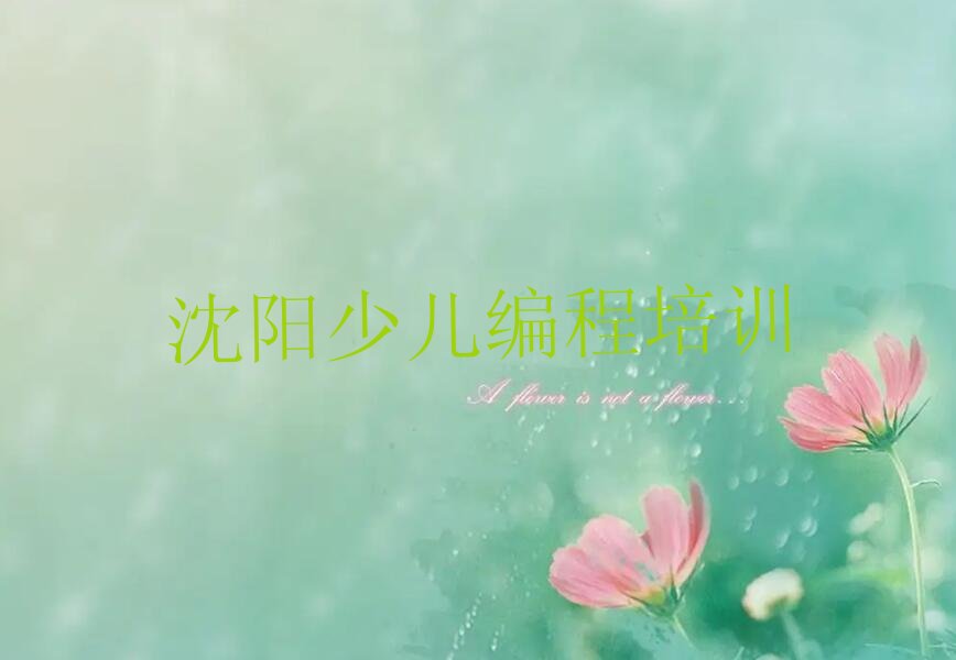 沈阳少儿AI机器人编程培训学校