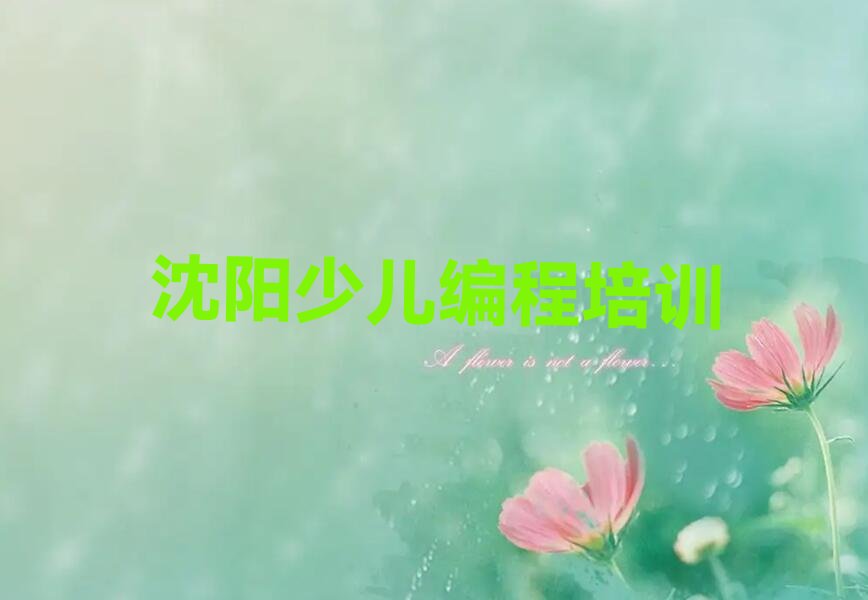 沈阳少儿AI机器人编程培训学校