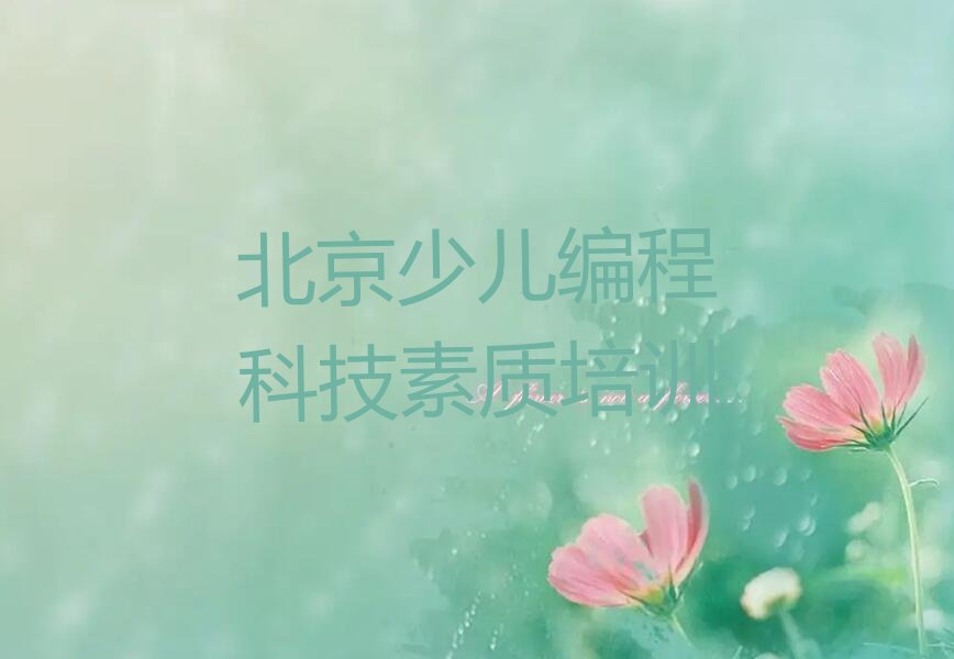 北京石景山区少儿编程科技素质培训学校