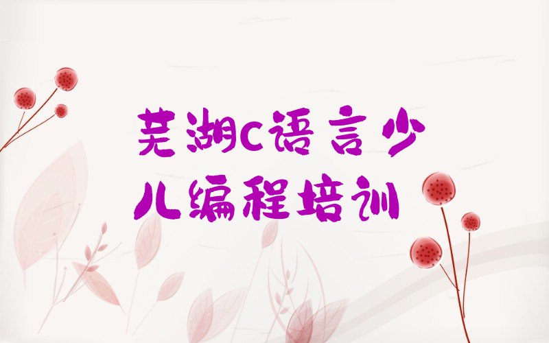 十大芜湖c语言少儿编程培训学校在哪十大排名一览排行榜排行榜