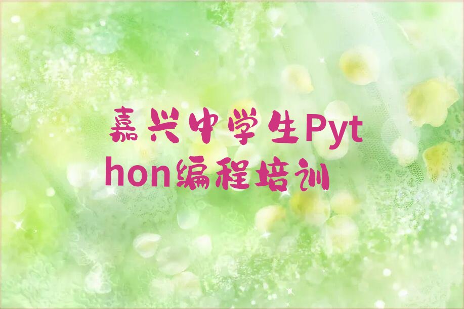 中学生Python编程