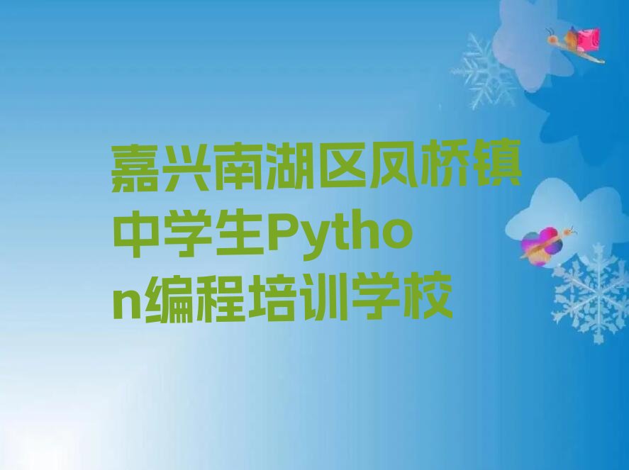 嘉兴南湖区凤桥镇中学生Python编程培训学校