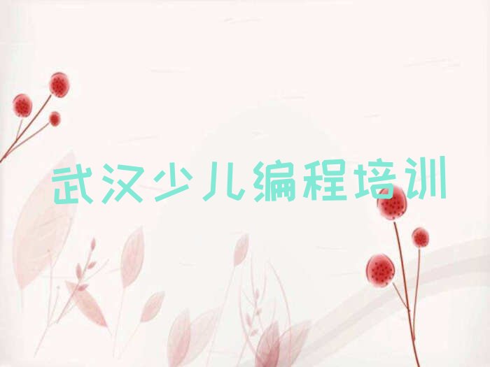 武汉江夏区法泗街道少儿编程培训学校
