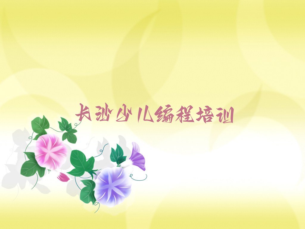 长沙少儿编程培训中心