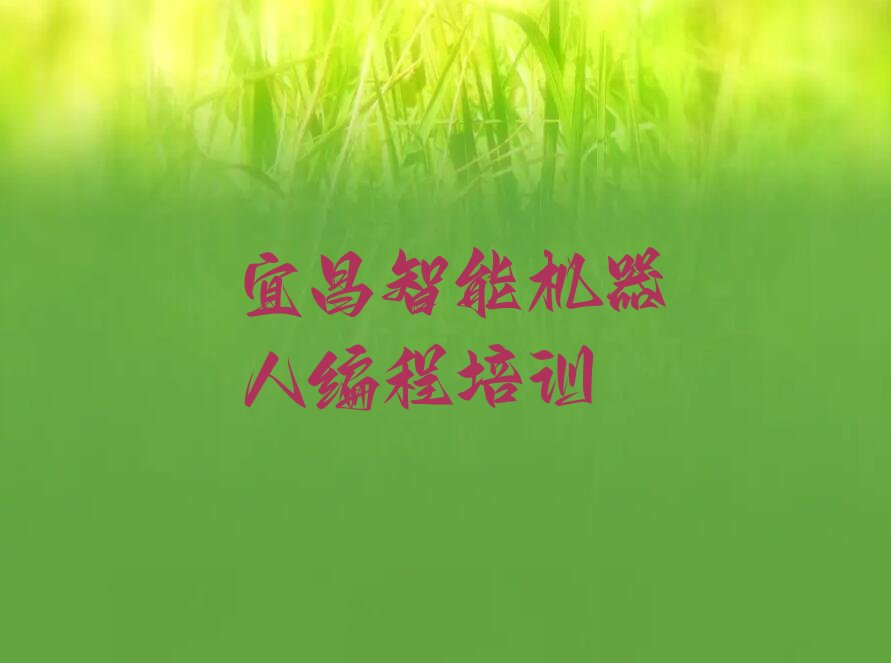 宜昌点军区少儿编程培训
