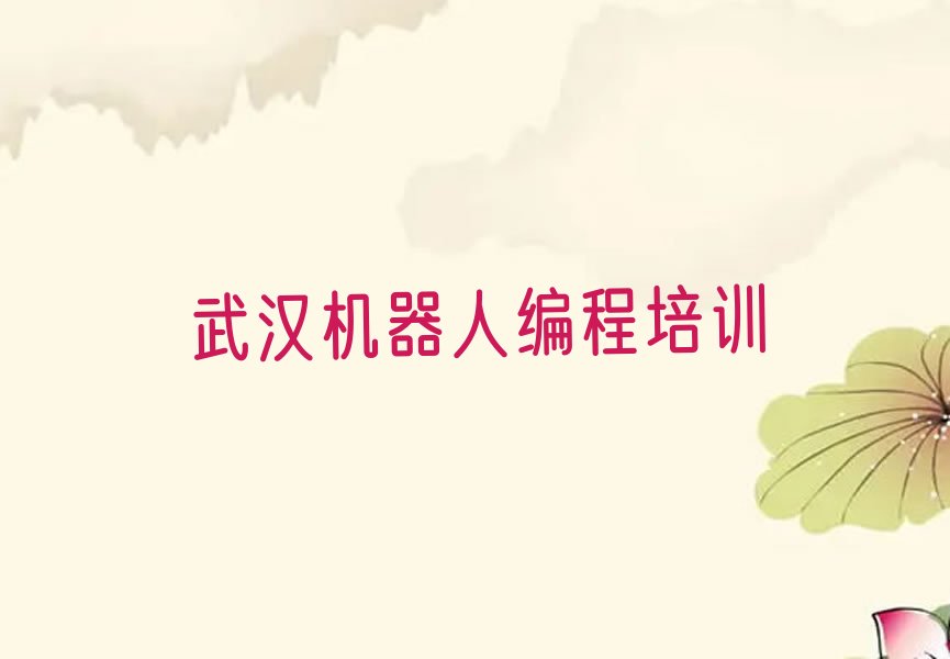 武汉江岸区少儿编程培训中心