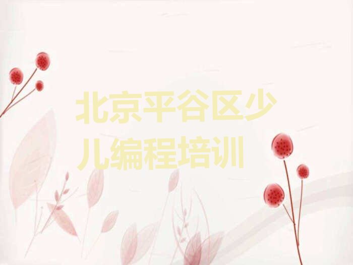 北京平谷区少儿编程培训