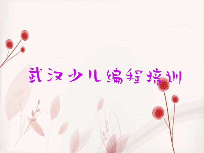武汉蔡甸区乐高机器人编程培训学校