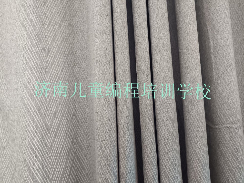 十大济南市学儿童编程的学校排行榜