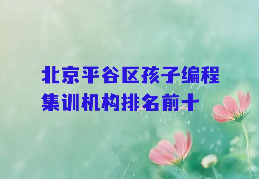 北京平谷区南独乐河镇孩子编程培训学校
