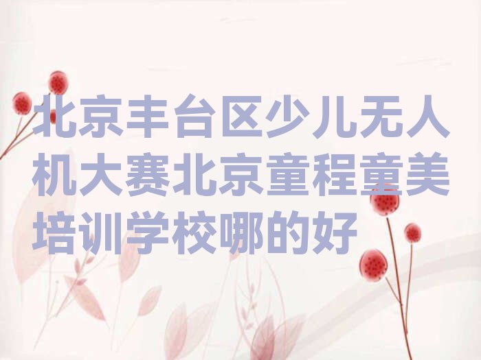 十大北京丰台区少儿无人机大赛北京童程童美培训学校哪的好排行榜