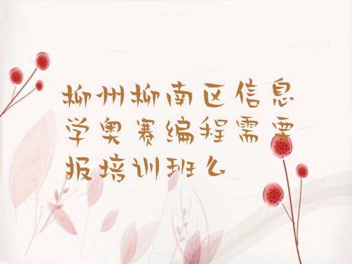 柳州柳南区少儿编程培训中心