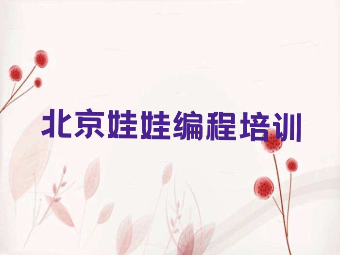 北京娃娃编程培训学校
