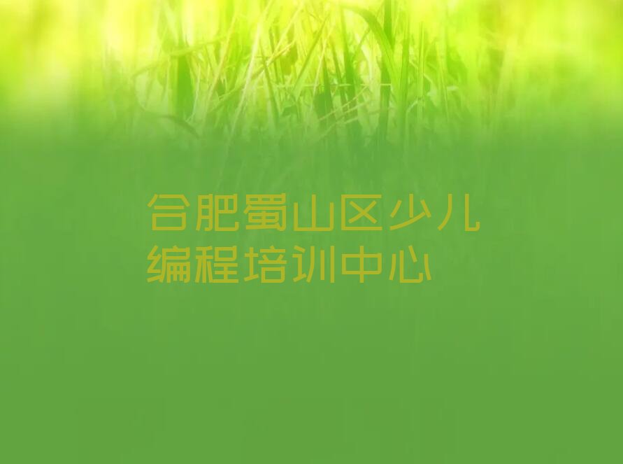 合肥蜀山区少儿编程培训中心