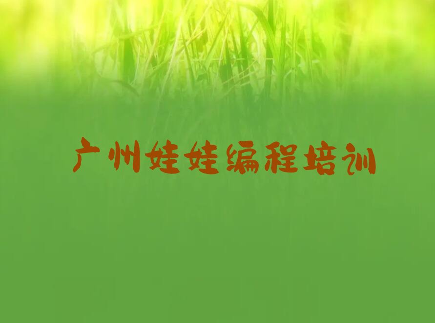 广州从化区鳌头镇少儿编程培训学校