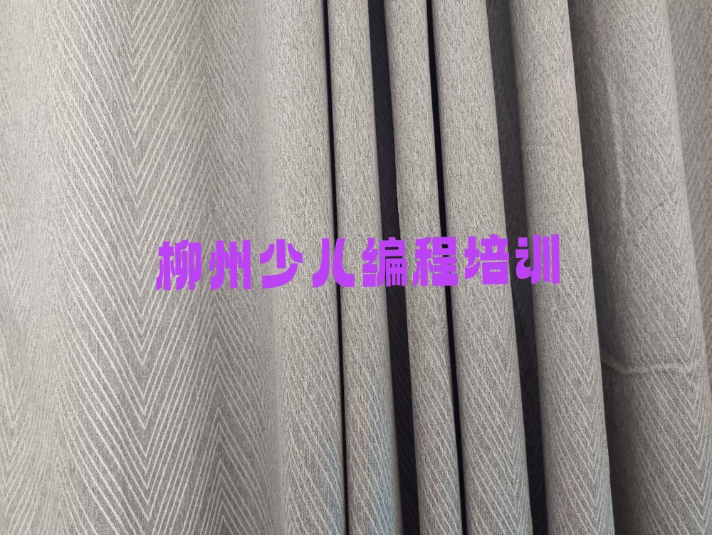 信息学奥赛编程